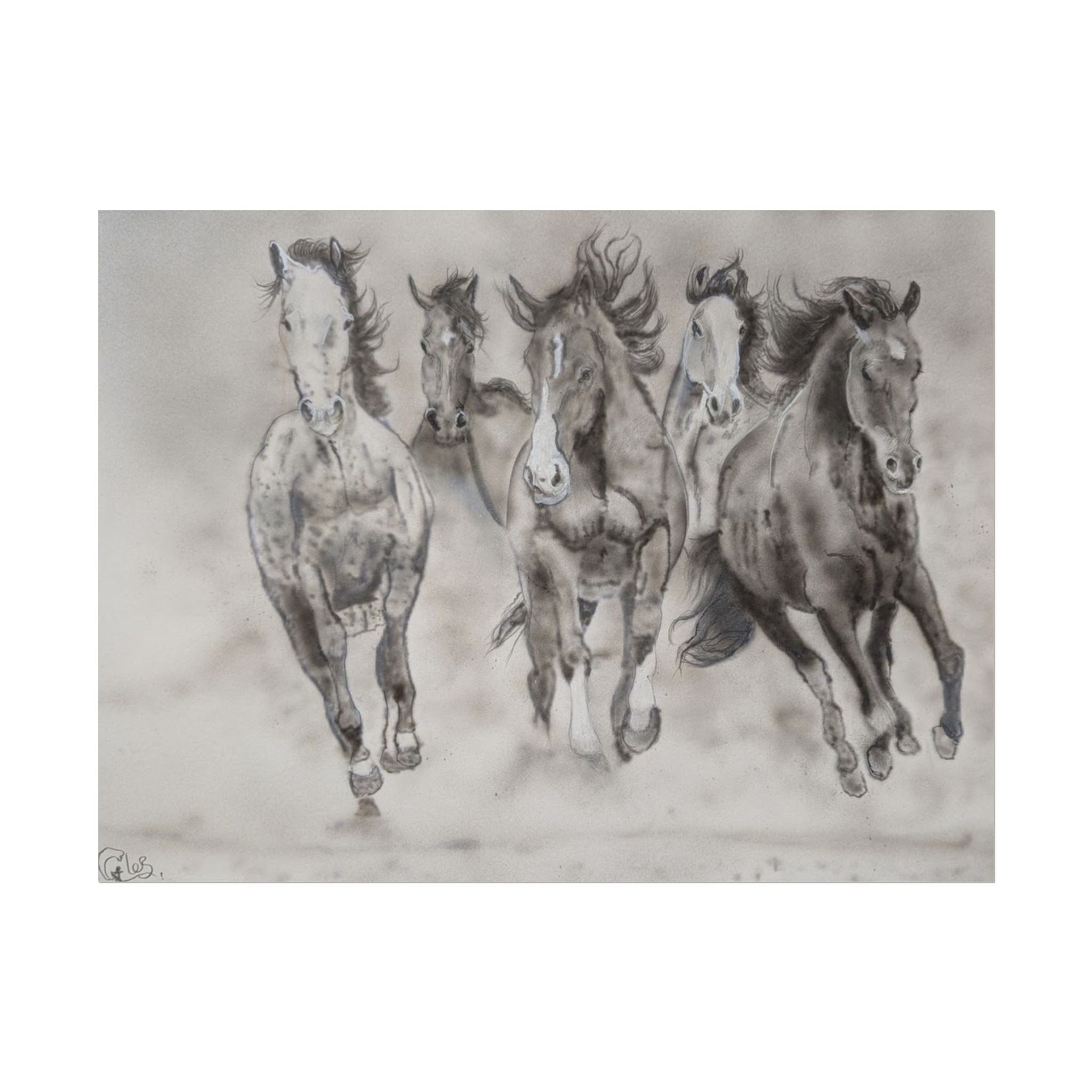 Horse Run Poster — Black & White Galloping Horses Wall Art (Rolled Poster)