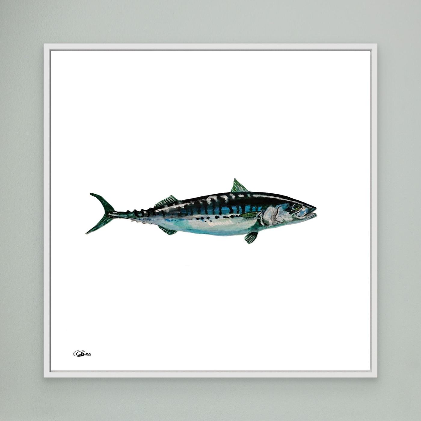 Pelagic Pulse