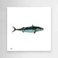 Pelagic Pulse