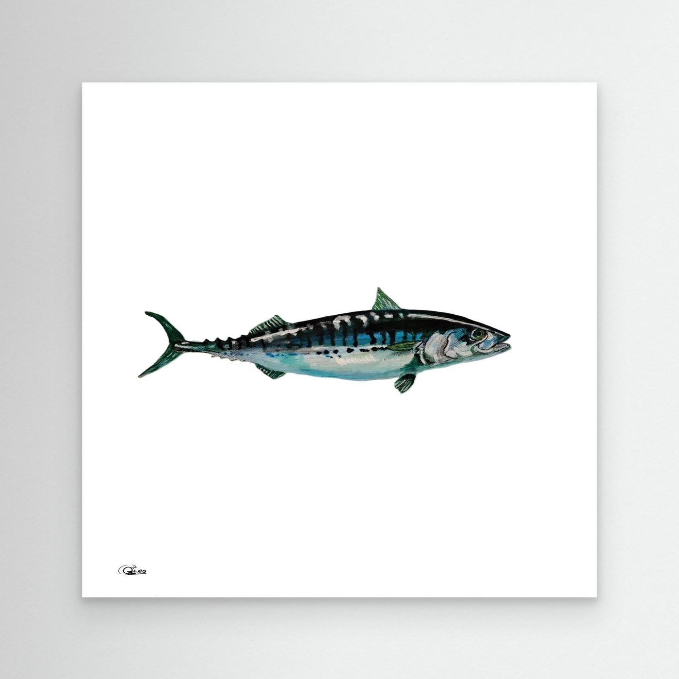 Pelagic Pulse