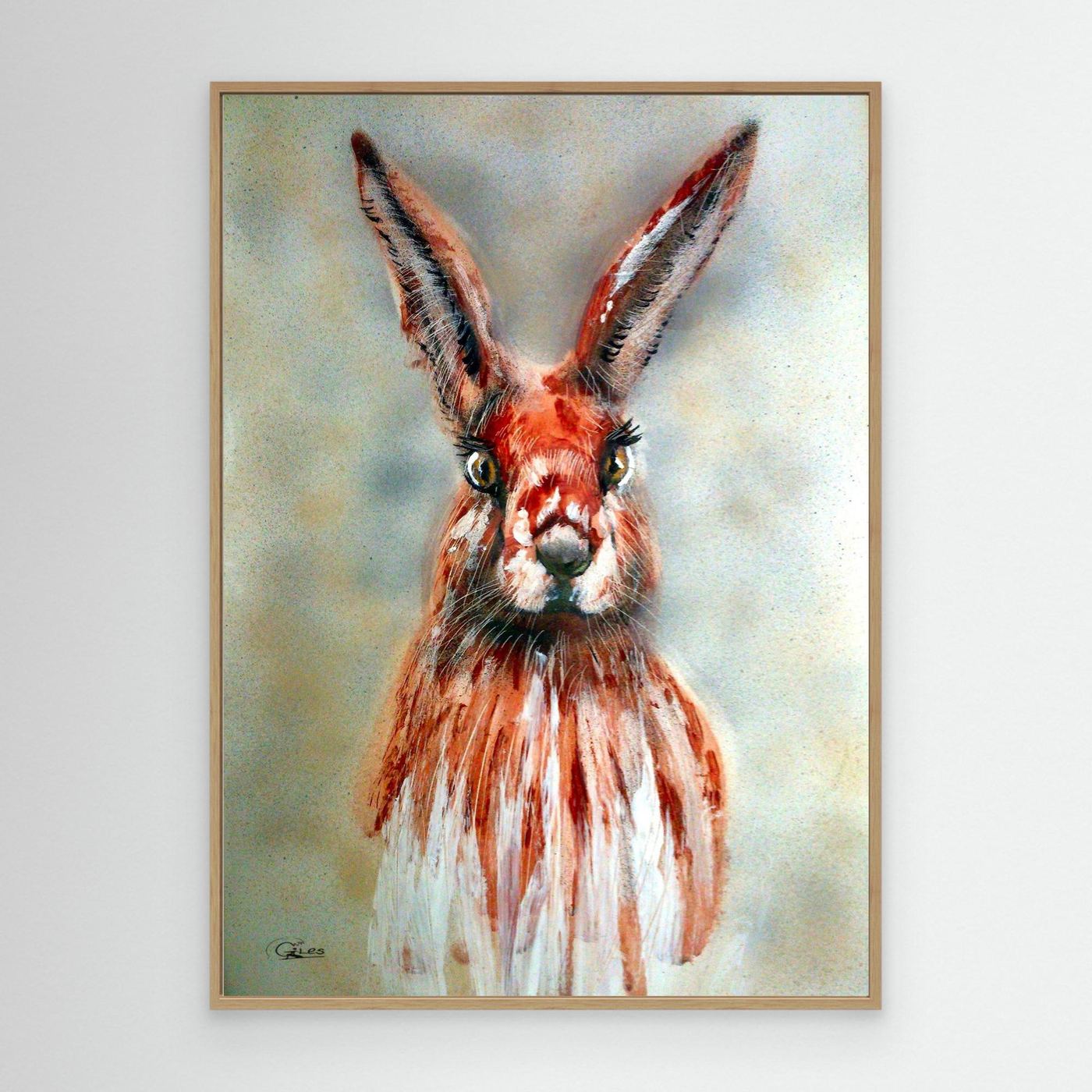 Hare today gone tommorow