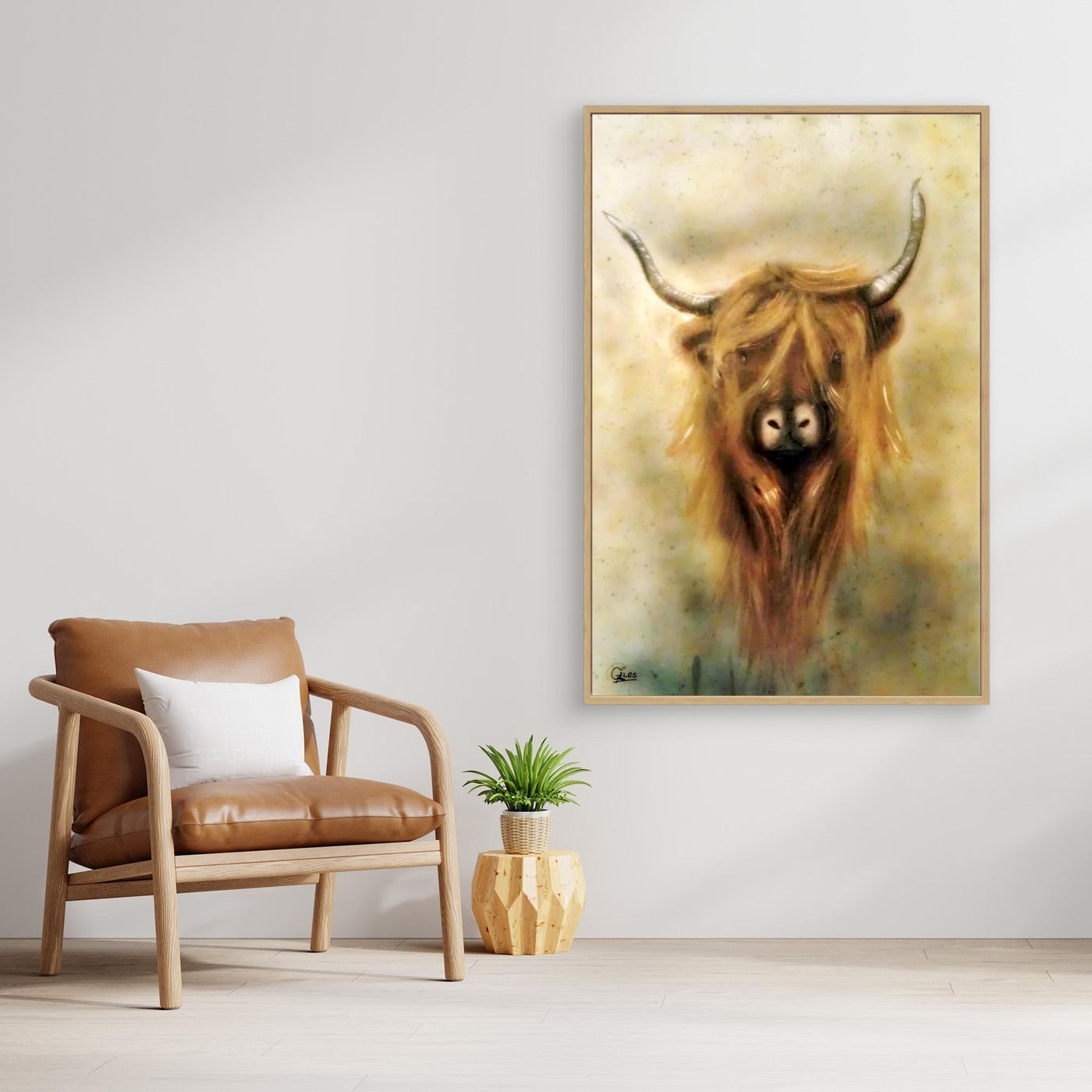 Moo - The Highland cow 