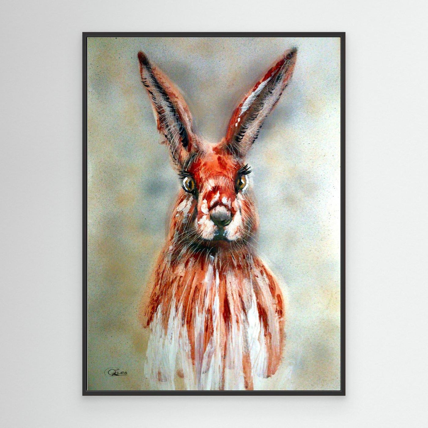 Hare today gone tommorow