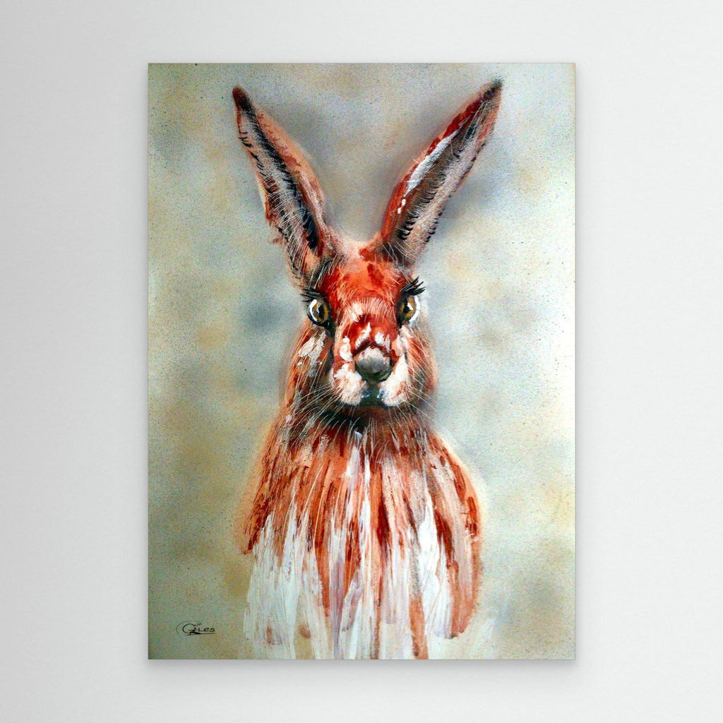 Hare today gone tommorow