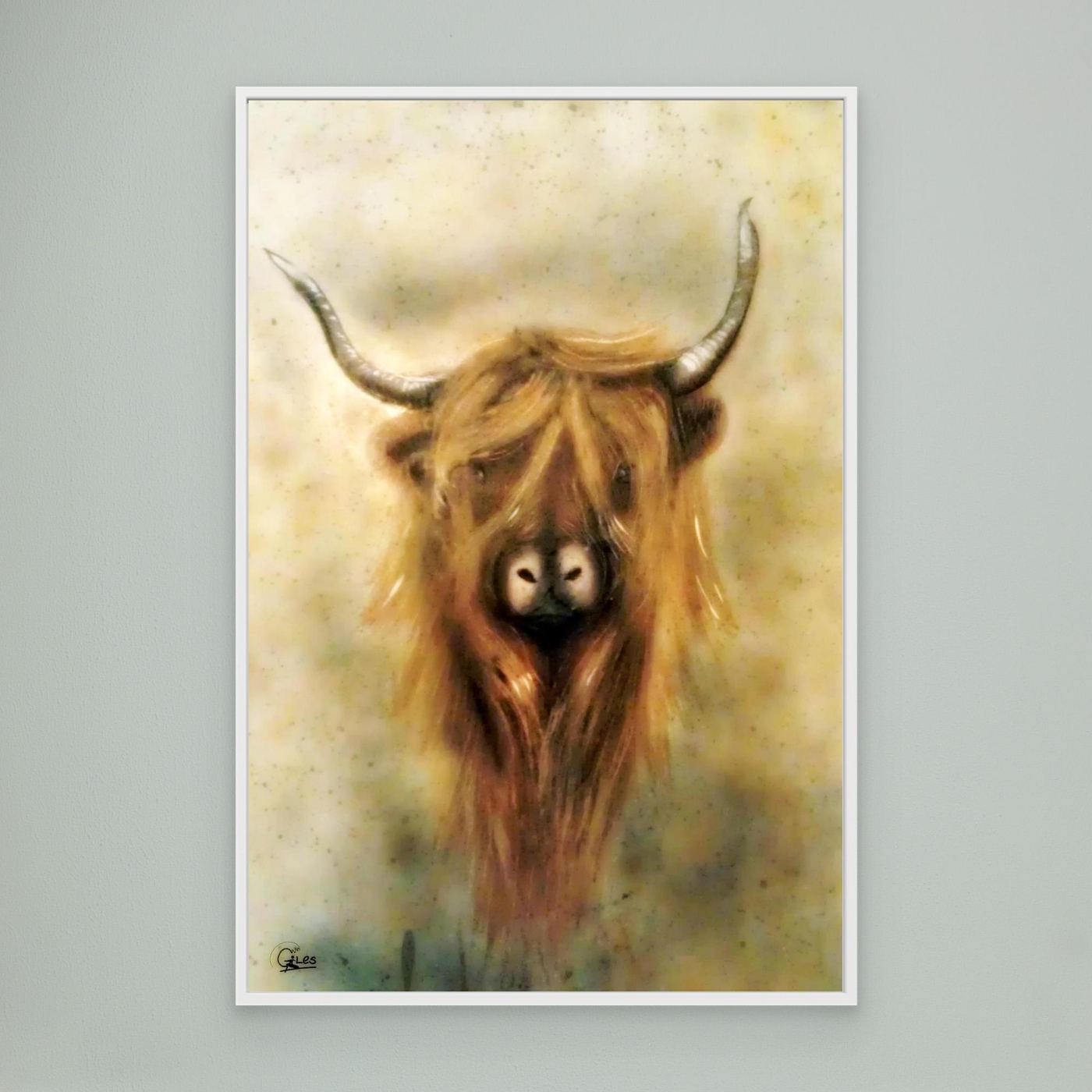 Moo - The Highland cow 