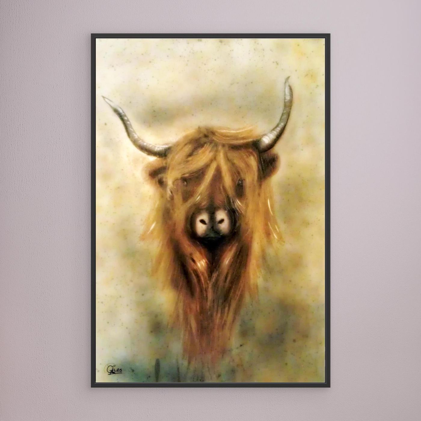 Moo - The Highland cow 