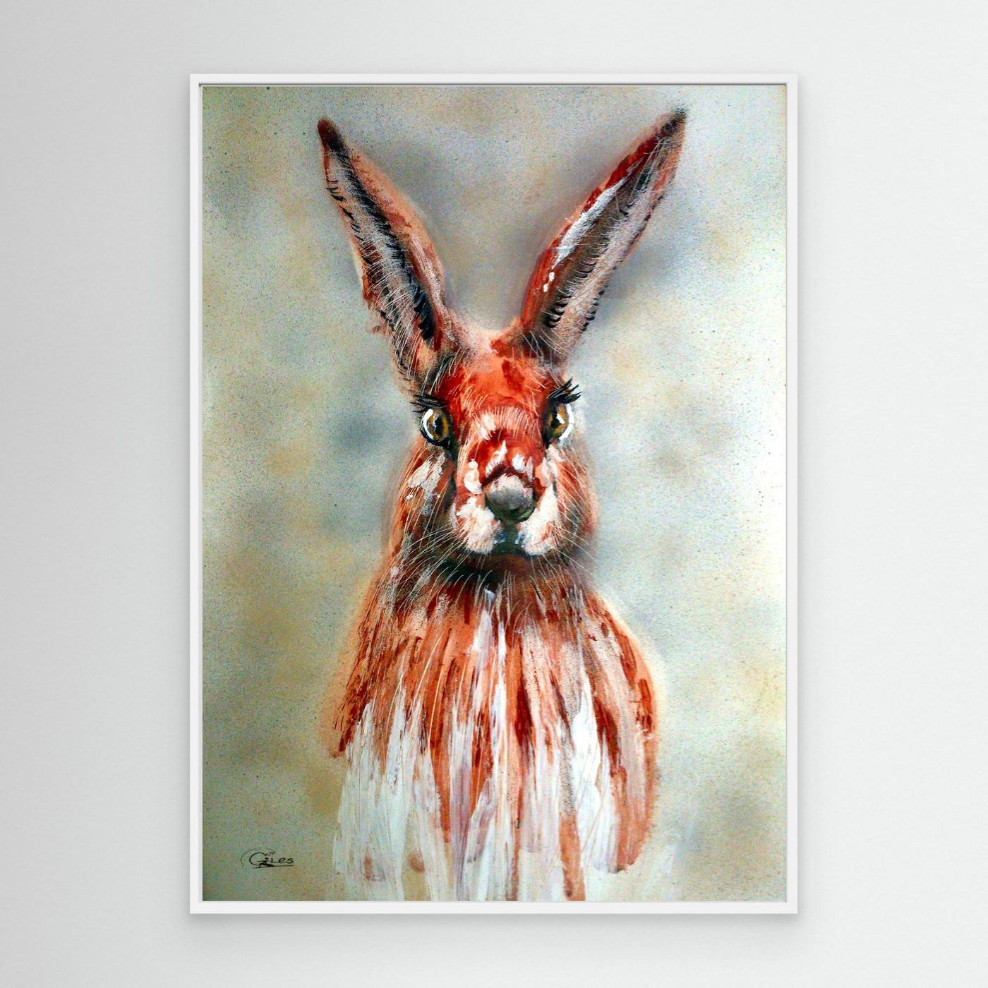 Hare today gone tommorow